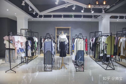 新手如何成功开设大码女装实体店 从零经验到找到优质货源的完整指南